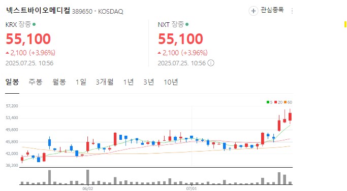 넥스트바이오메디컬 차트 분석