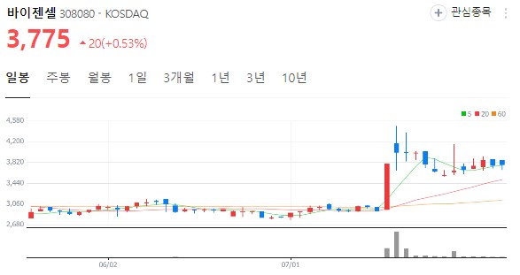 바이젠셀 차트 분석